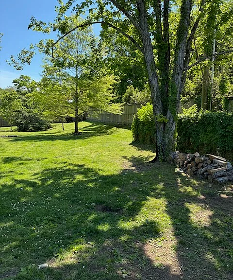 Backyard. (right side)