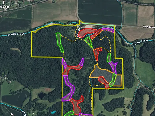 0 Spring Creek Rd, Nebo, IL 62355