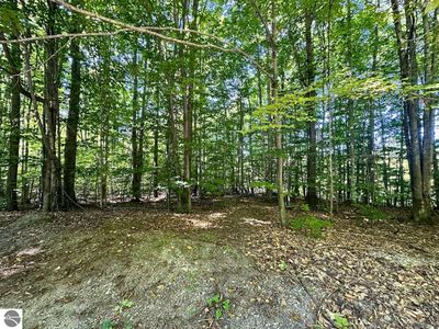 LOT 21 Wonder Strasse, Bellaire, MI, 49615