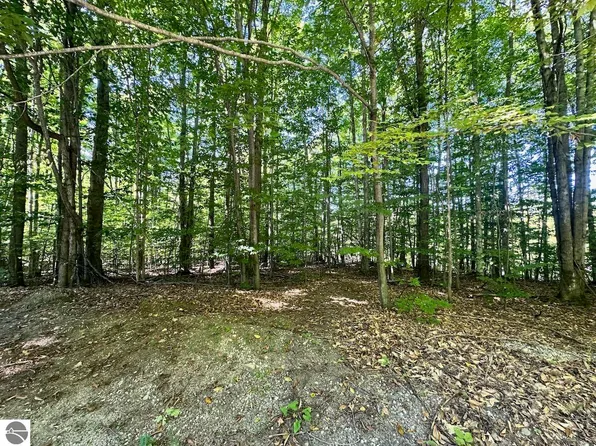 LOT 21 Wonder Strasse, Bellaire, MI 49615