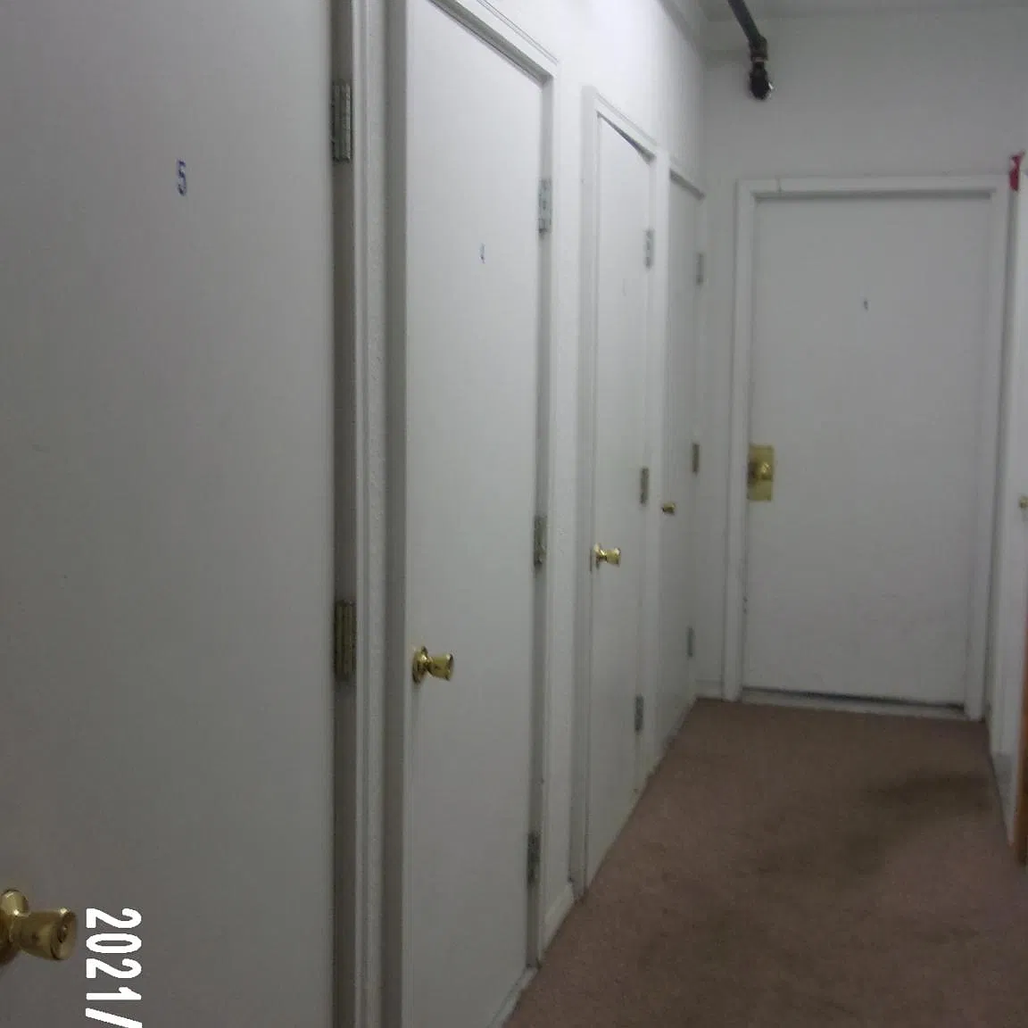 1 bed, $1,000 — Photo 2