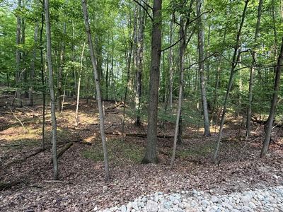 9619 Calgary Dr S, Stanwood, MI, 49346