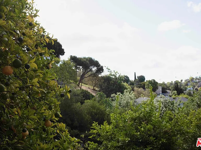 1112 Montecito Dr — Photo 21