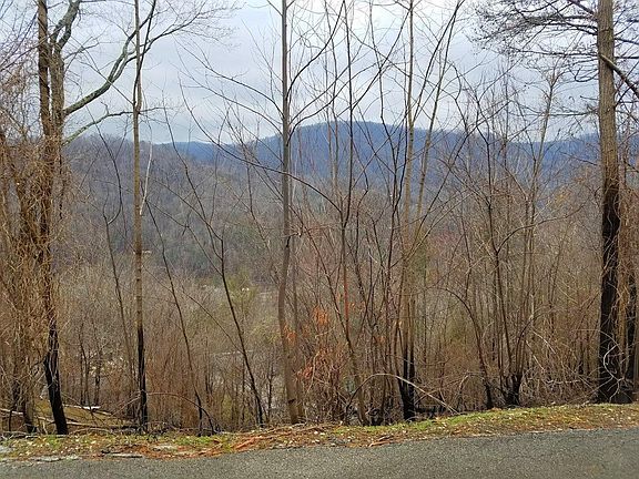 4th image of W Pinnacle Dr