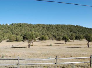 225 Sonterra Dr, Alto, NM 88312