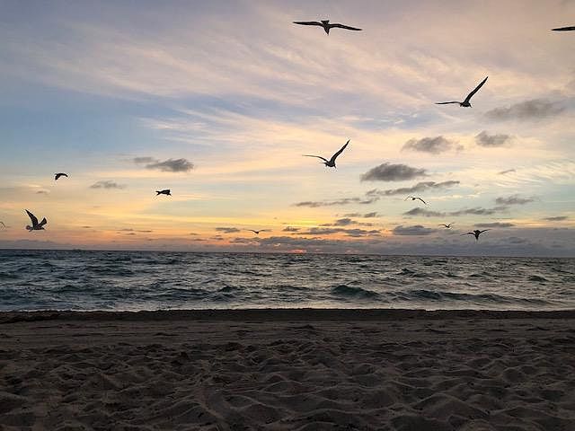 Sunrise