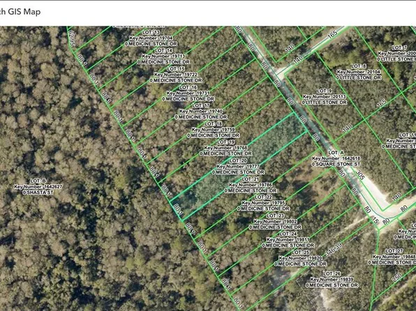 Medicine Stone Dr Lot 20, Webster, FL 33597
