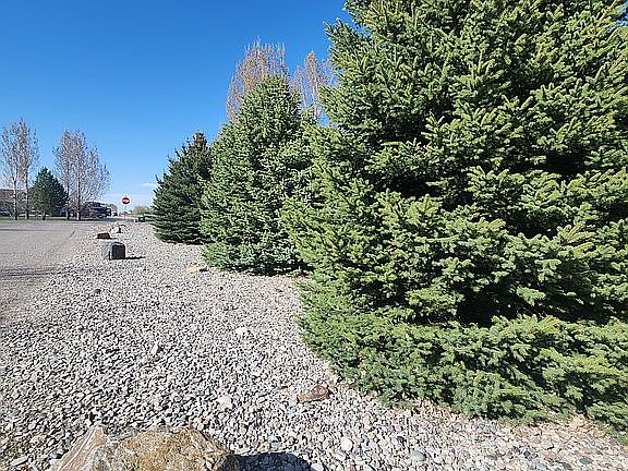 4th image of 4840 N Forest Way