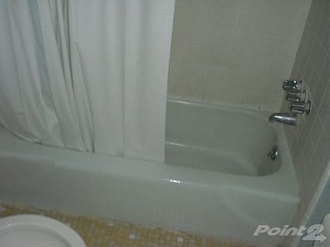 2nd image of 3166 Bolgos Cir