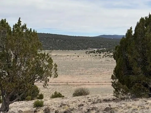 38 County Road 8250, Concho, AZ 85924