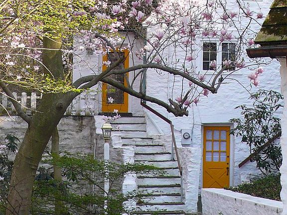 3rd image of 117 Arden Rd