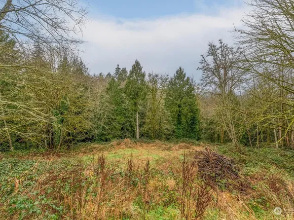 0 Olson Road, Longview, WA 98632