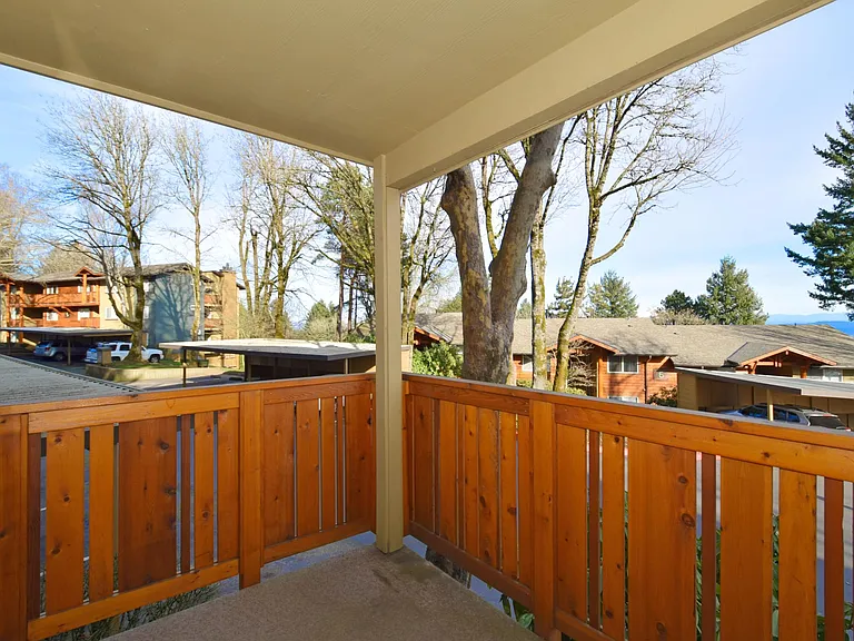 Ridge at Mountain Park — Photo 50