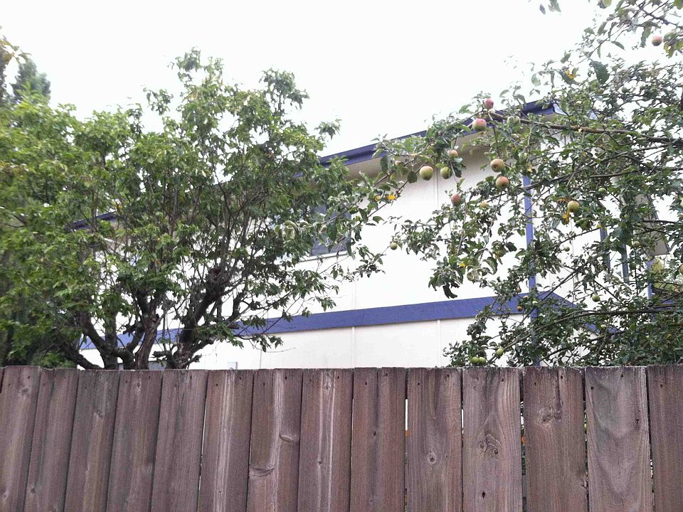 2nd image of 2507 NE 74th St