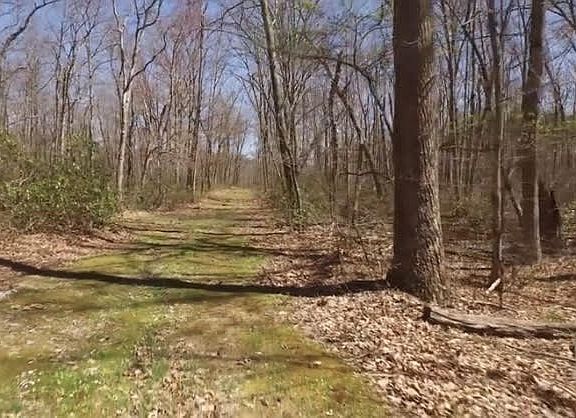 5th image of 1071 Long Mountain Trl Lot 85