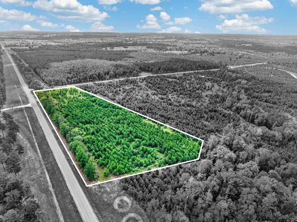TRACT 1 Fm 1280, Lovelady, TX 75851