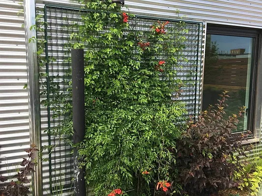 Rented by Nooklyn NYC LLC | media 29