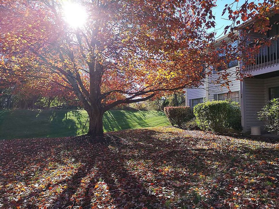 View of Front (Autumn)
