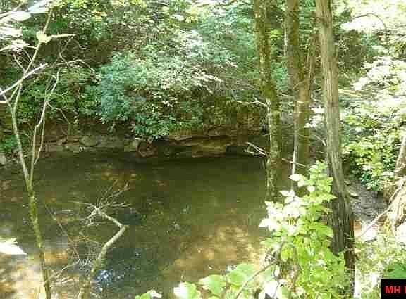 3rd image of 216 Barkwood Ln