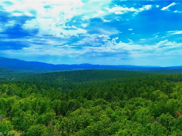 Blackfork Trl, Mena, AR 71953