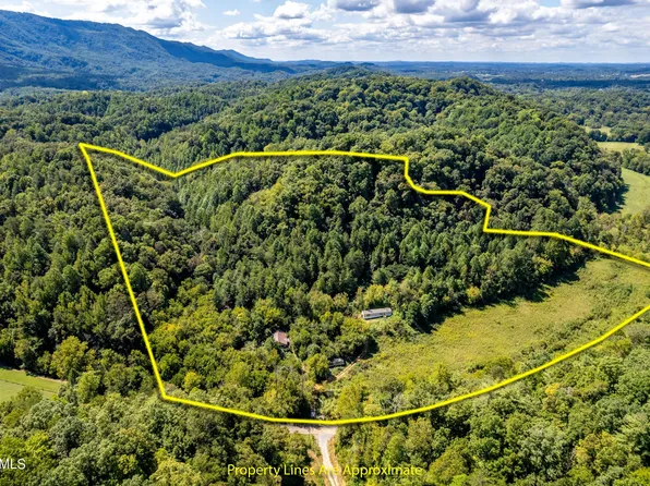 1455 Dripping Springs Rd, Seymour, TN 37865