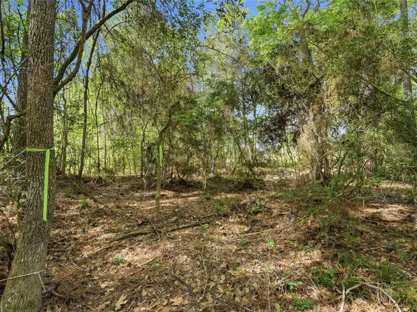 19909 Big Oak Dr, Montgomery, TX 77356