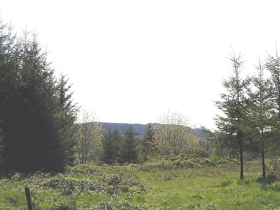View from Shop