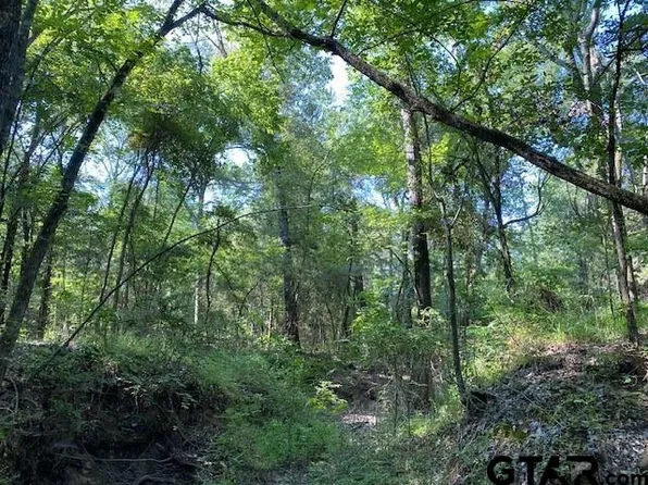 Township Road 4 Cres #B-41514, Athens, TX 75751