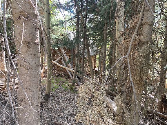 5th image of W North Fork Rd