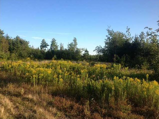 1st image of 0 Acadia Highway, Route 1