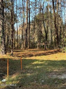 7062 W Main Street, Ridgeland, SC, 29936