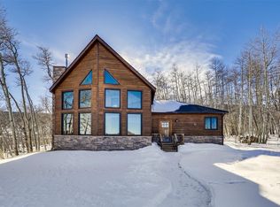 85 Warm Springs Rd, Fairplay, CO 80440