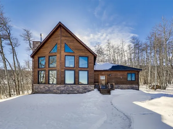 85 Warm Springs Rd, Fairplay, CO 80440