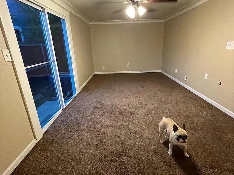 2603 Norwood Dr — Photo 34