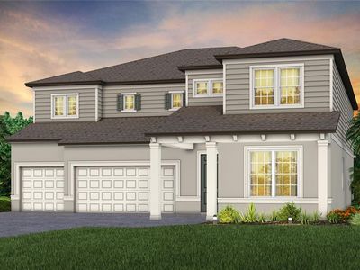 6158 Jensen View Ave, Apollo Beach, FL, 33572