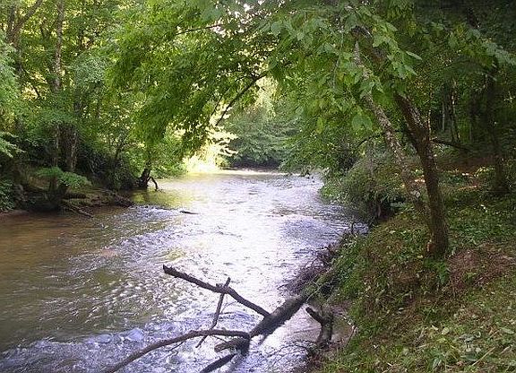5th image of LOT 10 Brasstown