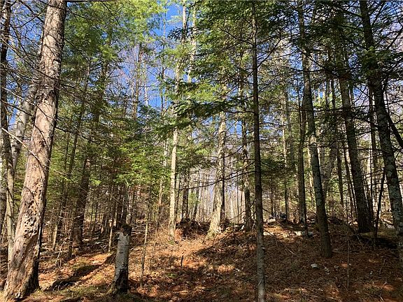 4th image of Lot 5 N Fin and Feather Road