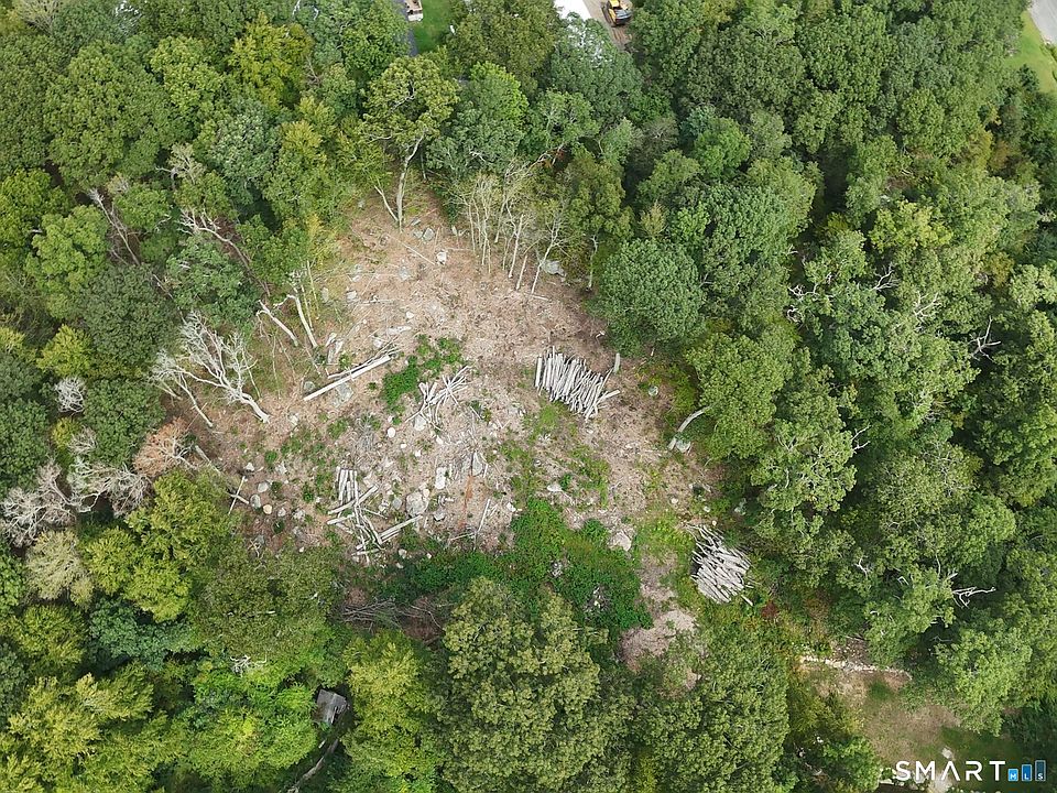 2nd image of 217 Buddington Road