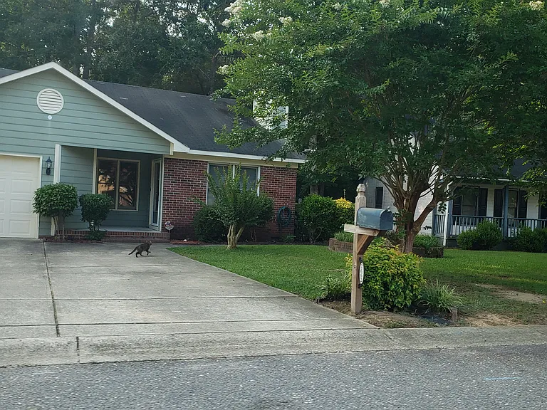 2662 Rivercliff Rd — Photo 8