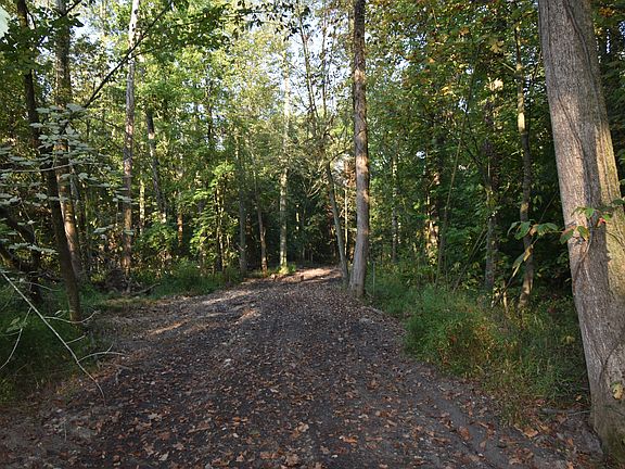 2nd image of 0 S Meridian Rd