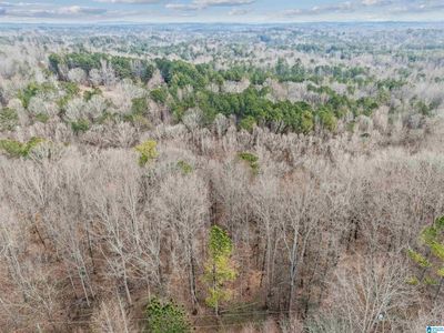 0 Hillview Dr Lot 59, Pell City, AL, 35125