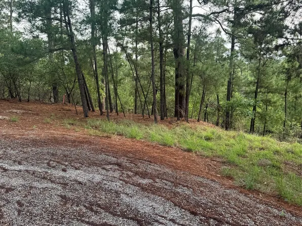 LOT 1492 Haleakala Dr, Bastrop, TX 78602