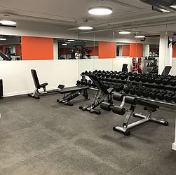 Rented by Sieber International