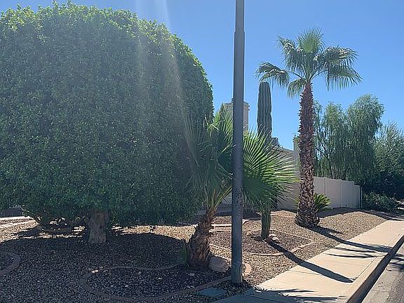 3rd image of 8877 W Michelle Dr