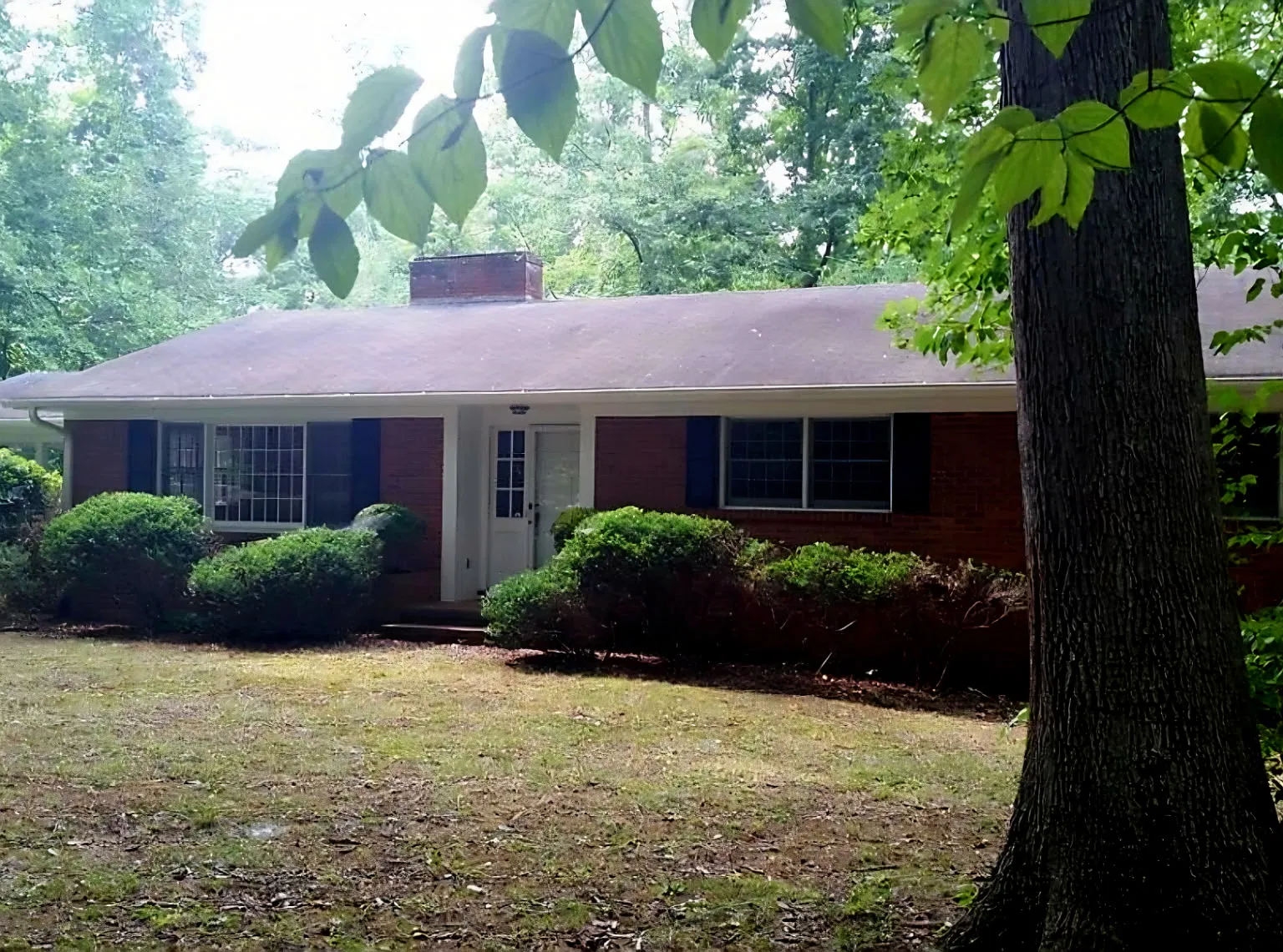 3 bed, 1537 sqft, $1,800 — Photo 2