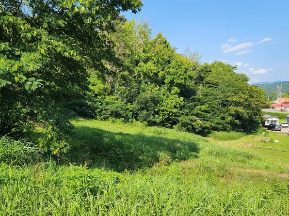 280 Bear Ln, Tellico Plains, TN 37385