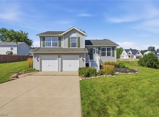 900 Mallet Hill Ct, Medina, OH 44256