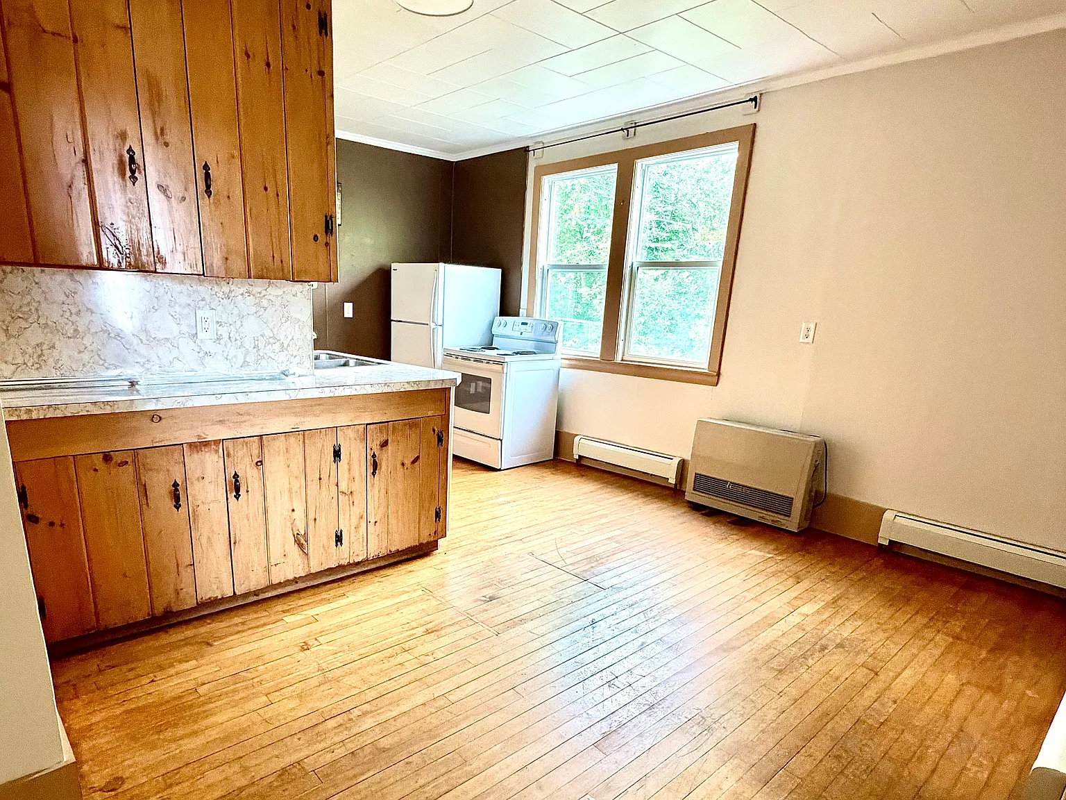 1 bed, $900 — Photo 2