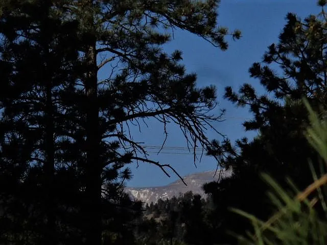 6010 Highway 73 — Photo 14