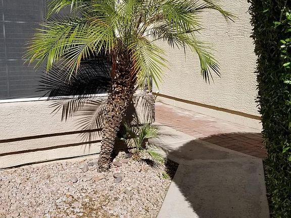 4th image of 3040 E Pontiac Dr